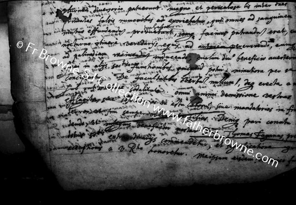 COPY NEGS THE FR.FITZSIMON'S LETTERS COPIED FOR LUDERG BRELER